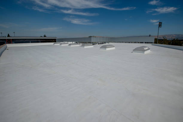 Best Roof Replacement  in Van, TX