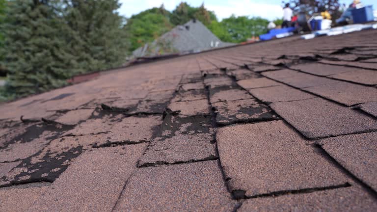 Best Roof Inspection  in Van, TX